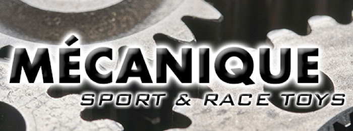 Suivi sur compétition et entrainement.